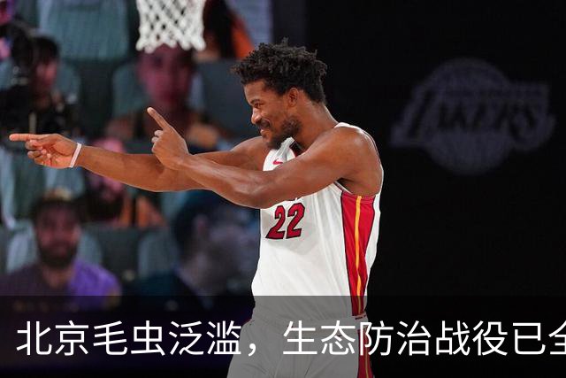 北京毛虫泛滥，生态防治战役已全面打响